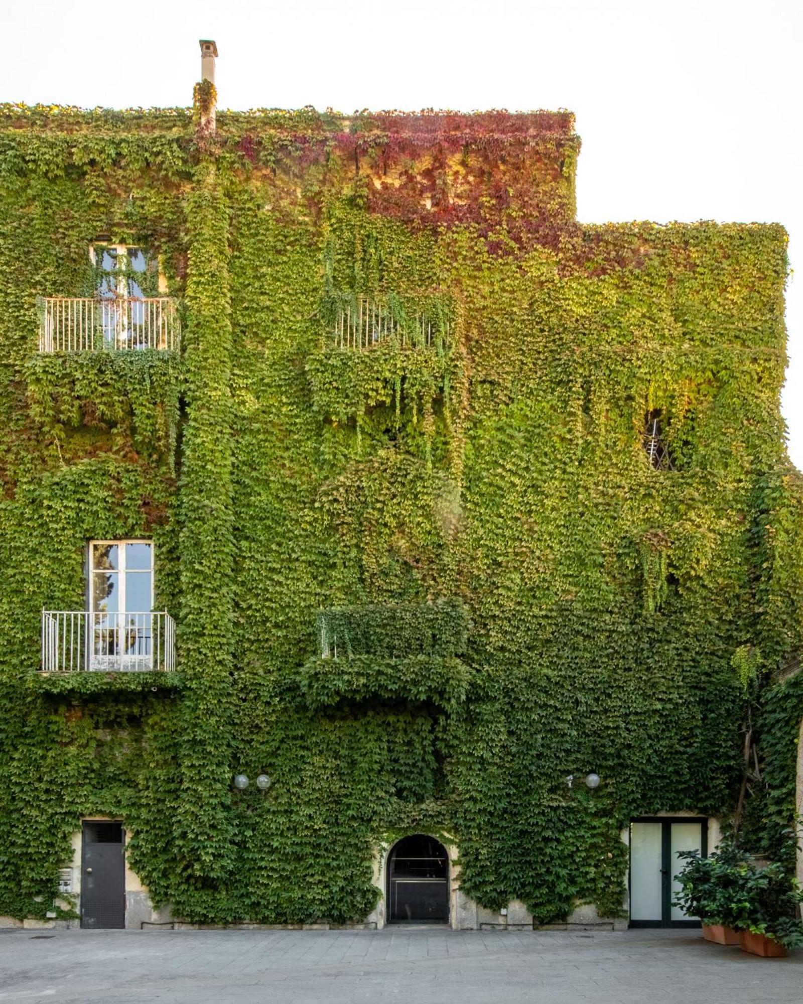 פלרמו Palazzo De Gregorio Apartments מראה חיצוני תמונה